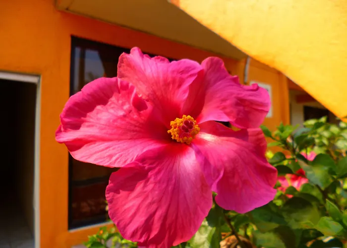 Hotel J.b. Zihuatanejo